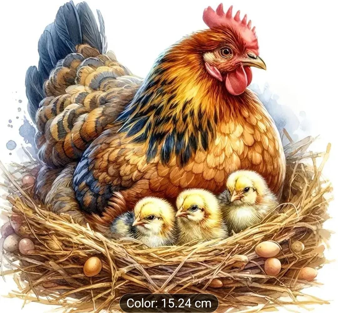 Chicken With 3 Baby Chicks Stickers – 15.24cm